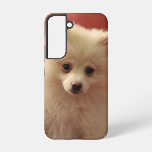 Coque Samsung Galaxy Chien de Poméranie mignon (Verso)