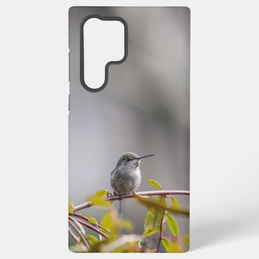 Coque Samsung Galaxy Colibri 3346 (Verso)