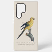 Coque Samsung Galaxy Conure soleil Aratinga solstitialis (Verso)