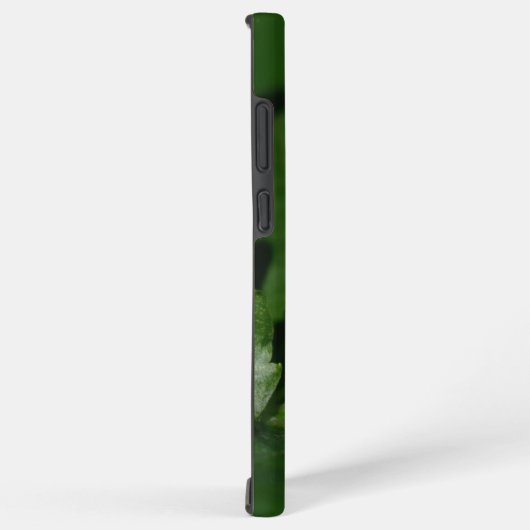 Coque Samsung Galaxy Dorcus parallelipipedus, le moindre dendroctone du (Côté droit)