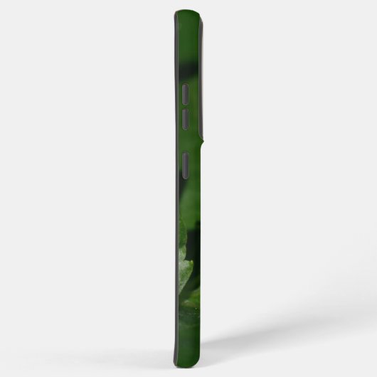 Coque Samsung Galaxy Dorcus parallelipipedus, le moindre dendroctone du (Côté droit)