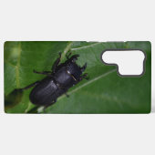 Coque Samsung Galaxy Dorcus parallelipipedus, le moindre dendroctone du (Verso Horizontal)
