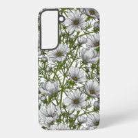 Fleurs cosmos blanches