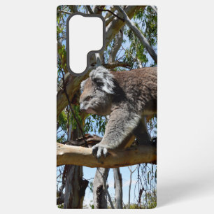 Coque Samsung Galaxy Grand Koala Australien Mâle,