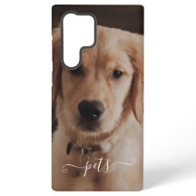 Jolie photo d'animaux de compagnie pour se souveni