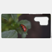 Coque Samsung Galaxy Ladybug (Verso Horizontal)
