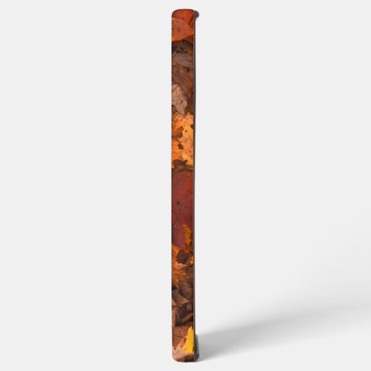 Coque Samsung Galaxy l'automne (Côté gauche)