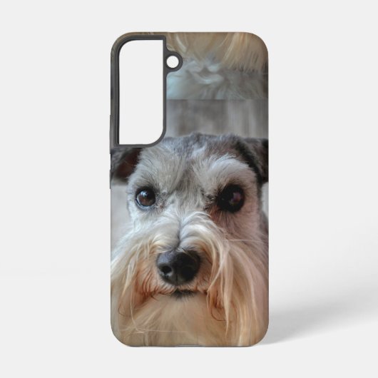Coque Samsung Galaxy Le visage de Schnauzer Dog (Verso)