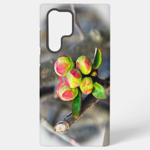 Coque Samsung Galaxy Les premiers bourgeons