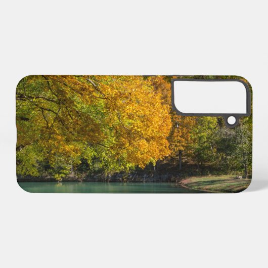 Coque Samsung Galaxy Parapluie d'érable sur Dogwood Creek Samsung Coque (Verso Horizontal)