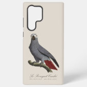 Coque Samsung Galaxy Perroquet gris, Psittacus erithacus, vintage (Verso)