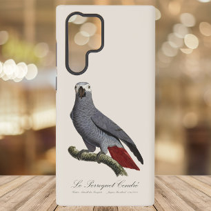 Coque Samsung Galaxy Perroquet gris, Psittacus erithacus, vintage