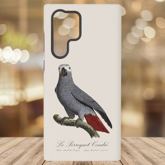 Coque Samsung Galaxy Perroquet gris, Psittacus erithacus, vintage