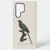 Coque Samsung Galaxy Perruche Moine, Myiopsitta Monachus (Verso)