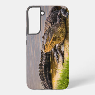 Coque Samsung Galaxy Photo American Alligator