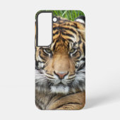 Coque Samsung Galaxy Photo Big Cat Sumatran Tiger (Verso)