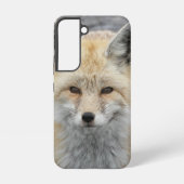 Coque Samsung Galaxy Photo de la faune de Red Fox (Verso)