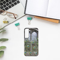 Plumes de paon et fenêtres gothiques