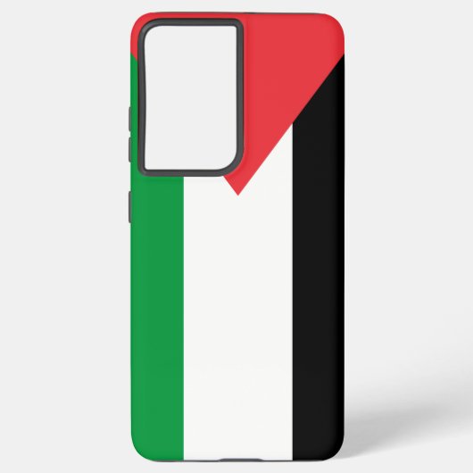 Coque Samsung Galaxy Samsung Galaxy S21 Ultra Coque avec drapeau palest (Verso)
