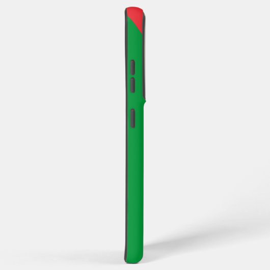 Coque Samsung Galaxy Samsung Galaxy S21 Ultra Coque avec drapeau palest (Côté droit)