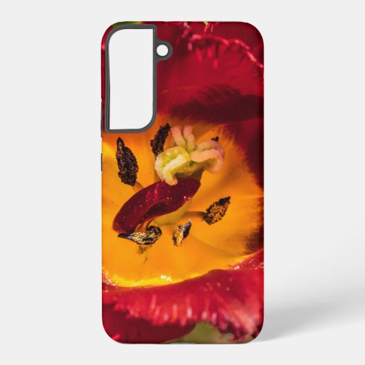 Coque Samsung Galaxy Tulipe rouge (Verso)