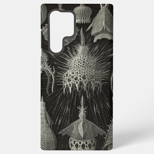 Coque Samsung Galaxy Vintage Haeckel (Verso)