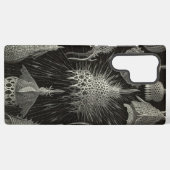 Coque Samsung Galaxy Vintage Haeckel (Verso Horizontal)