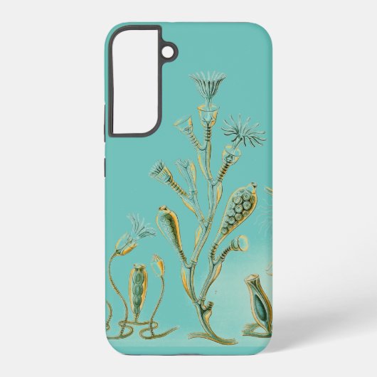 Coque Samsung Galaxy Vintage Haeckel (Verso)