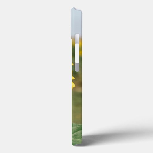 Coque Sunflower iPhone 13 (Verso / Gauche)