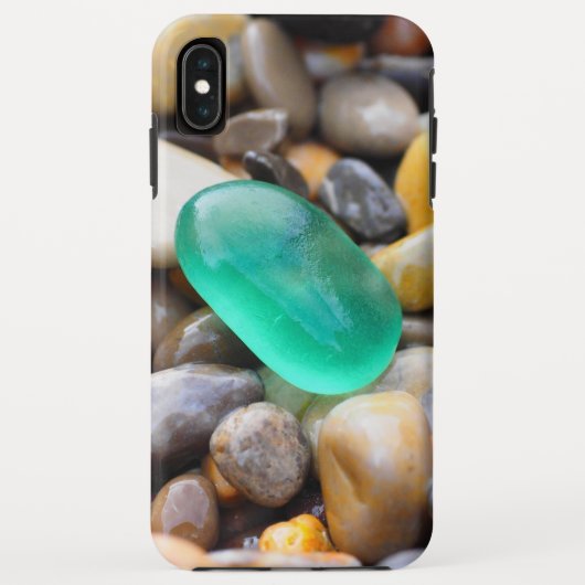 Coque Tough de Case-Mate pour iPhone XS Max d'Appl (Dos)