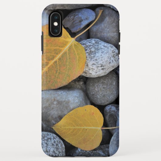 Coque Tough de Case-Mate pour iPhone XS Max d'Appl (Dos)