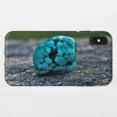 Coque Tough de Case-Mate pour iPhone XS Max d'Appl (Dos (Horizontal))