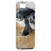 Coque Tough iPhone 5 bébé-tortue. coque iphone (Dos/Droit)