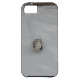 coque iphone 5 furet coque iphone 5 furet