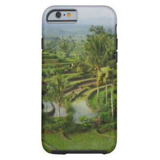 coque iphone 6 bali coque iphone 6 bali