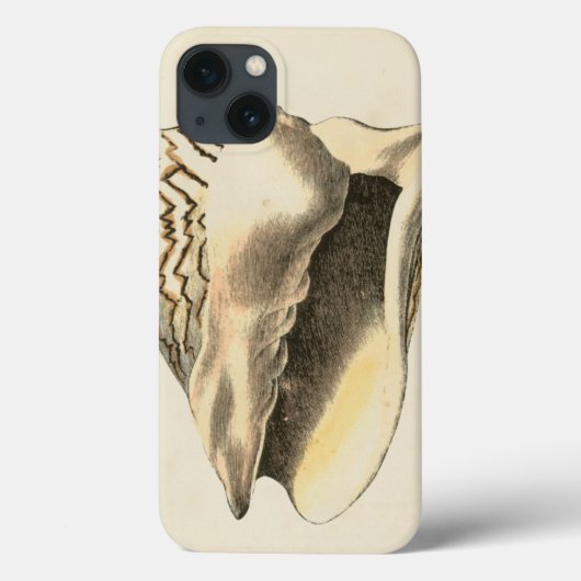 Coque vintage Sepia Conch (Verso)