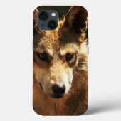 Coque Wolf ou Pet iPhone 13 (Verso)