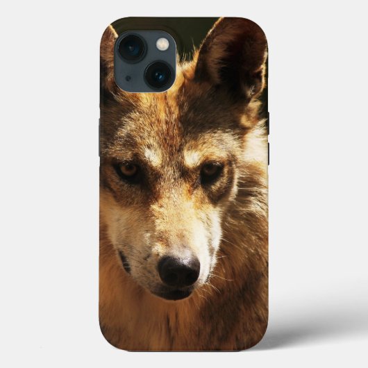 Coque Wolf ou Pet iPhone 13 (Verso)
