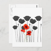 coquelicot briefkaart (Voorkant / Achterkant)