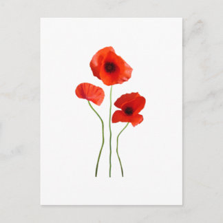 coquelicot-papaver briefkaart