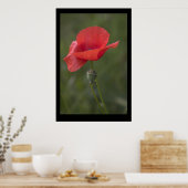 Coquelicot. Poster par cARTerART (Cuisine)