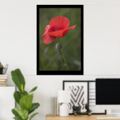 Coquelicot. Poster par cARTerART (Bureau à domicile)