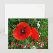 Coquelicots avec carte postale THANK YOU abeille (Devant / Derrière)