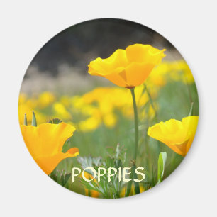 COQUELICOTS FLEURS COQUELICOT MAGNET MAGNETS Cadea