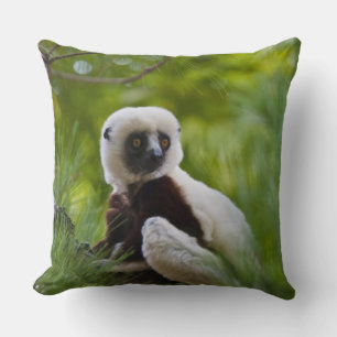 Coquerel Sifaka in het bos 2 Kussen