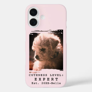 COQUES iPhone 16  