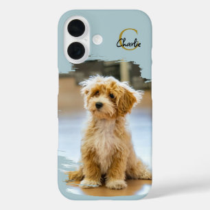 COQUES iPhone 16  