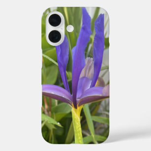 COQUES iPhone 16