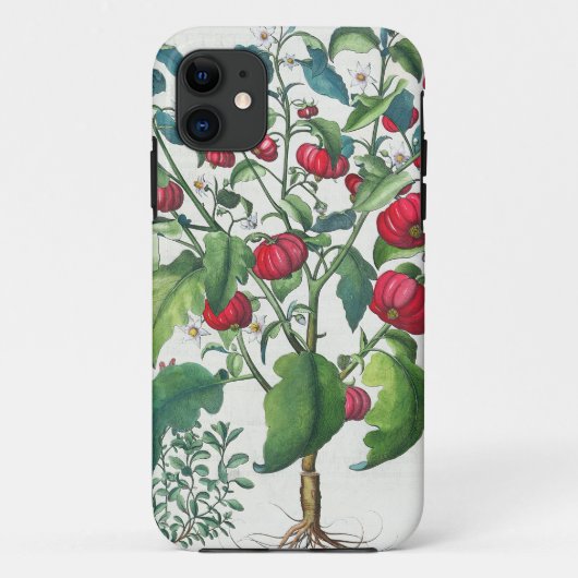Coques Case-Mate iPhone 1.Solanum Pomiferum ; 2.Amaracus vulgaris, du (Dos)