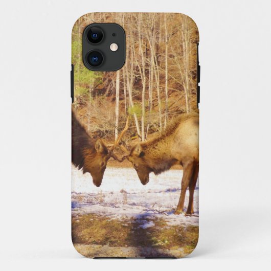 Coques Case-Mate iPhone 2~ deux Bull Elk dans la neige (Dos)